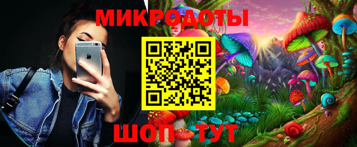 Галлюциногенные грибы Cubensis  Вход с VPN  что такое   Псилоцибиновые грибы Psilocybine cubensis  Владивосток 